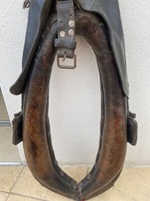 collier cheval de trait en