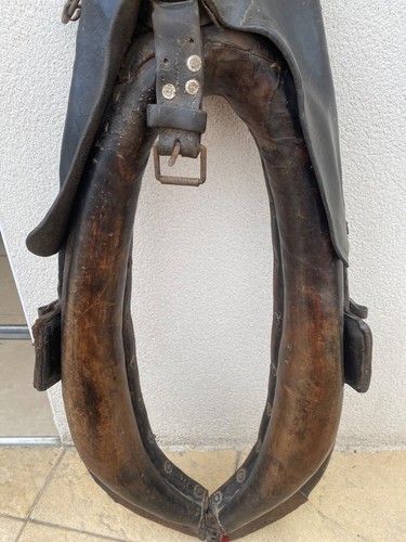 Collier cheval trait - collier,