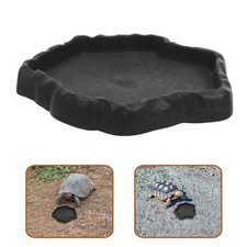 Bol D'eau Pour Lézard