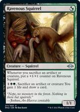 MRM FR/VF 4x �cureuil affam� - Ravenous Squirrel MTG Magic MH2