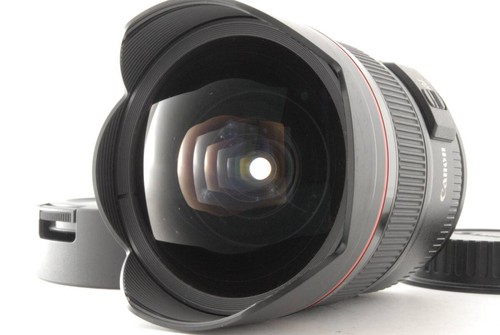 Objectif fisheye grand angle