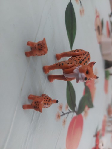 Playmobil animeaux sauvages - playmobil,
