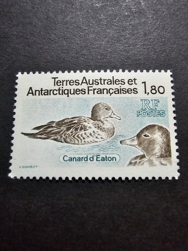 Timbre france taaf faune - timbre,