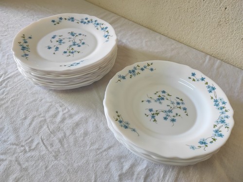 Lot assiettes 12 plates - lot,