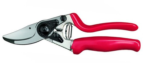 Sécateur pour taille felco - pour, la