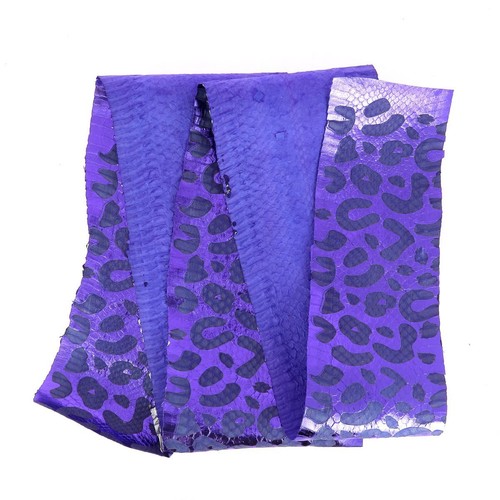 Peau cuir serpent - peau,