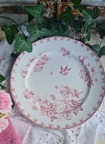 Ancien plat rond aubepine - plat,