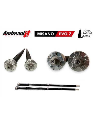 305 a08e cartouche andreani - cartouche,