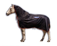 Couverture pour Cheval