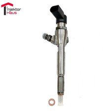 Injecteur H8201100113