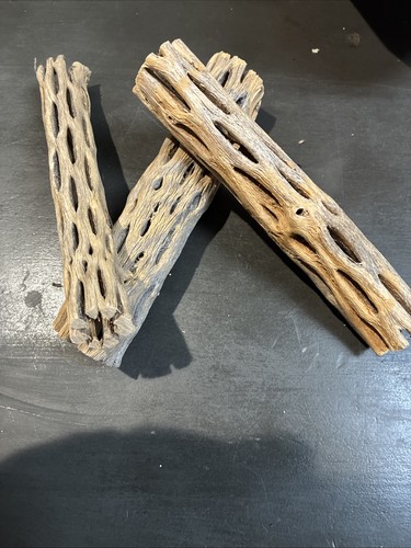 Cholla wood - wood, ea)