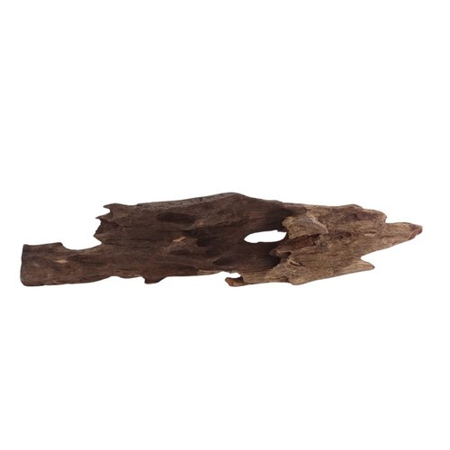 Honey peigne racine 2051 - l,