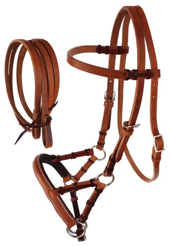 Horse western - horse,