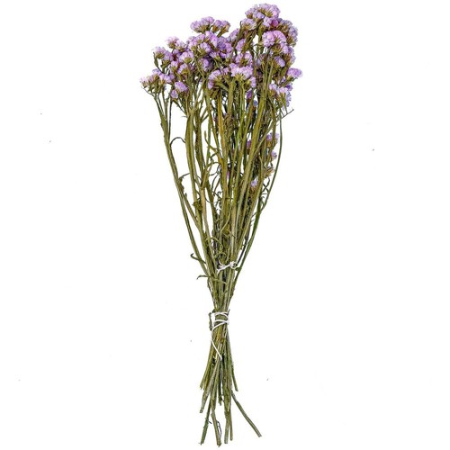 Bouquet fleurs séchées - fleurs,