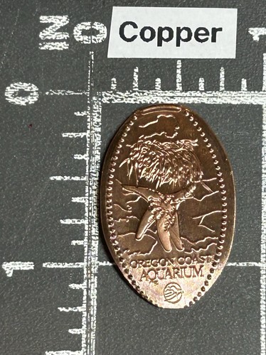 Pièce coin smashed - smashed, penny