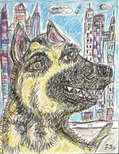 Dessin Chien Berger Allemand