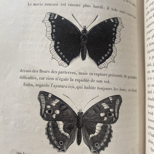 Berthoud monde des - berthoud, le