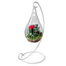 Terrarium Decor - Glass Air
