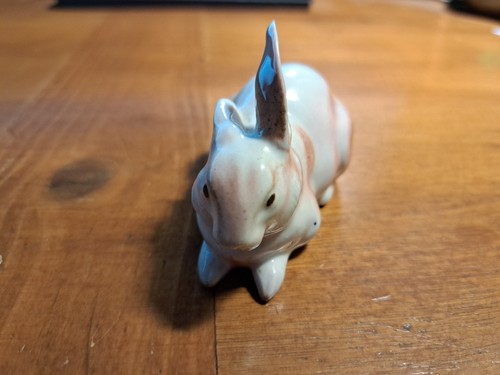 Magnifique lapin blanc