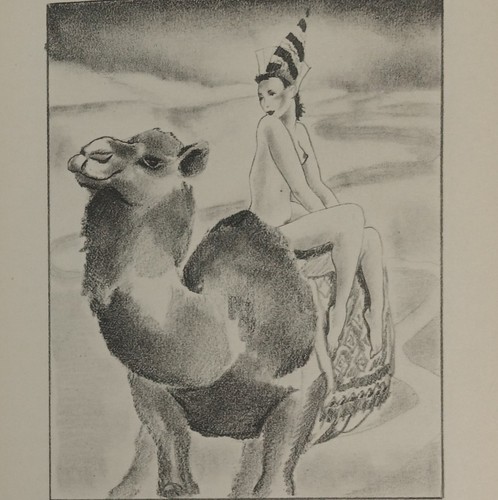 Louys les aventures roi - du,