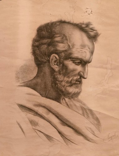 Dessin buste homme - buste, '
