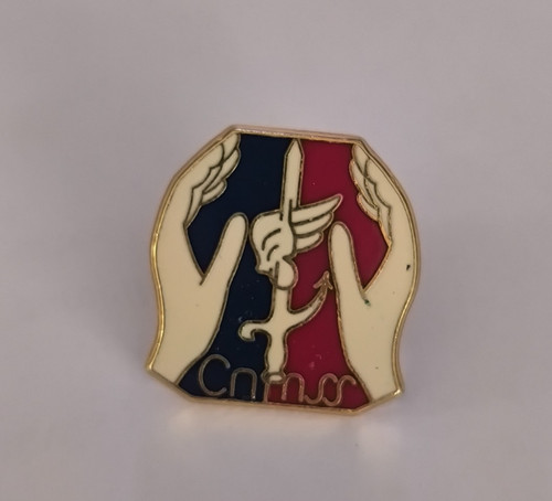 Insigne pin cnmss caisse - insigne,