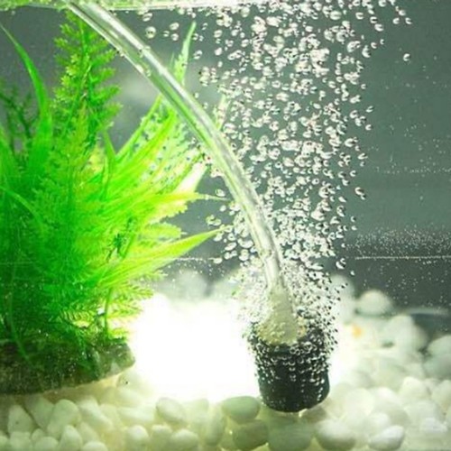 Pompe oxygène usb fishbowl - à,