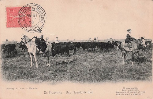 Saintes maries la - 13,