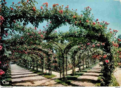 Carte postale l - postale, l'hay