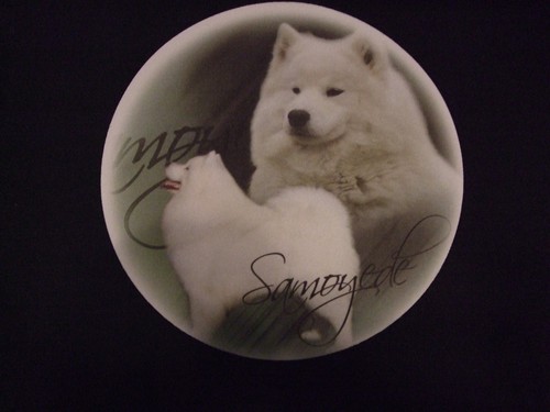 Tapis souris samoyede - souris,
