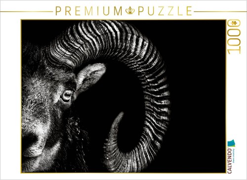 Calvendo puzzle mouflon 1000 - calvendo,