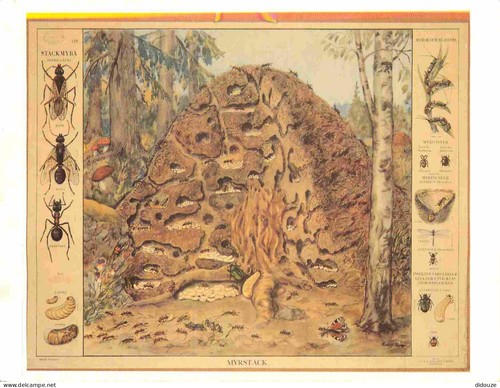 Carte postale suède - -,