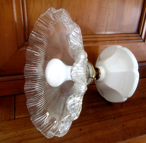 Tulipe ancienne style - tulipe,