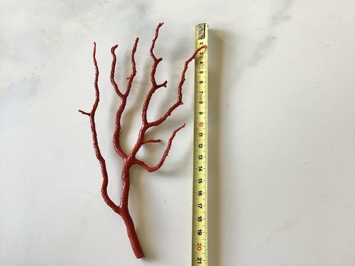 Grande branche corail - de,