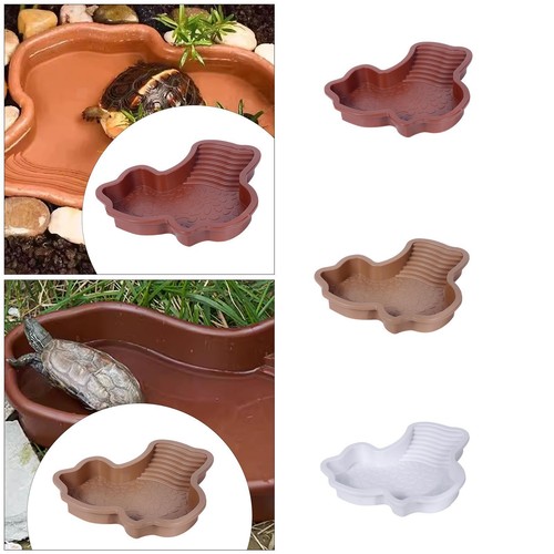 Bassin bain pour reptiles - de,