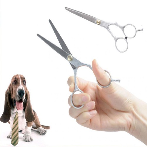Ciseaux toilettage chien - ciseaux,