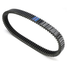 Courroie de commande pour