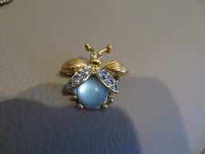 ancienne broche insecte dans