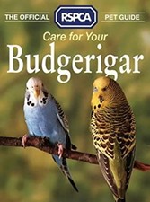 Prenez Soin De Votre Perruche