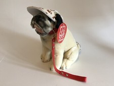 Sitting Pug Wearing Visor With