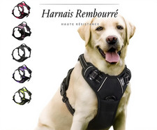 Harnais chien anti traction - harnais,