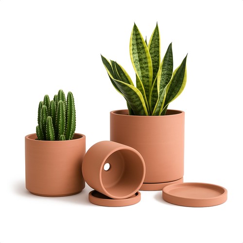 Pots terre cuite pour - en,