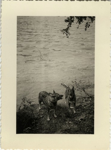 Photo ancienne vintage - ancienne,