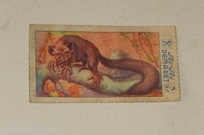 Image CHROMO RI-RI DEMARET 