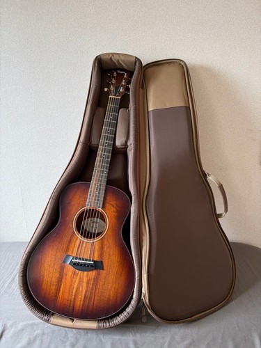 Guitare acoustique taylor - guitare, gs