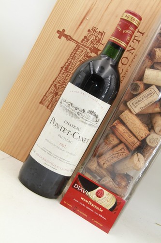 Château pontet canet - château,