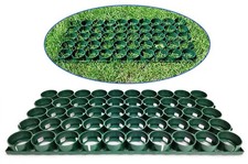 CAILLEBOTIS DE PELOUSE DANS