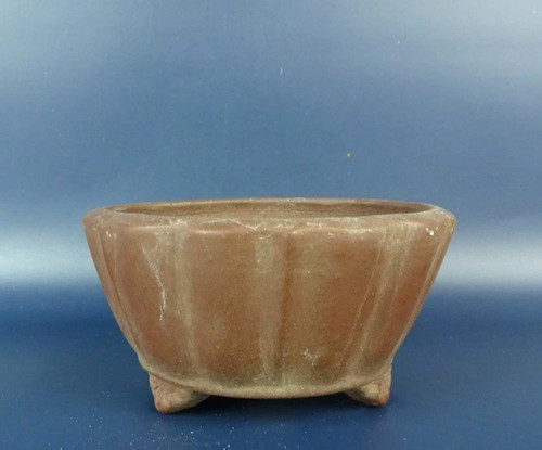 Pot bonsaï japonais - bonsaï,