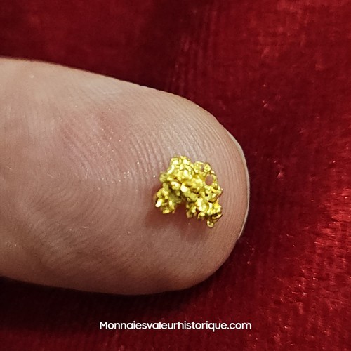 Pépite naturelle - d’or,