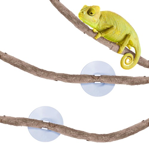 Reptile vine terrarium - 6,